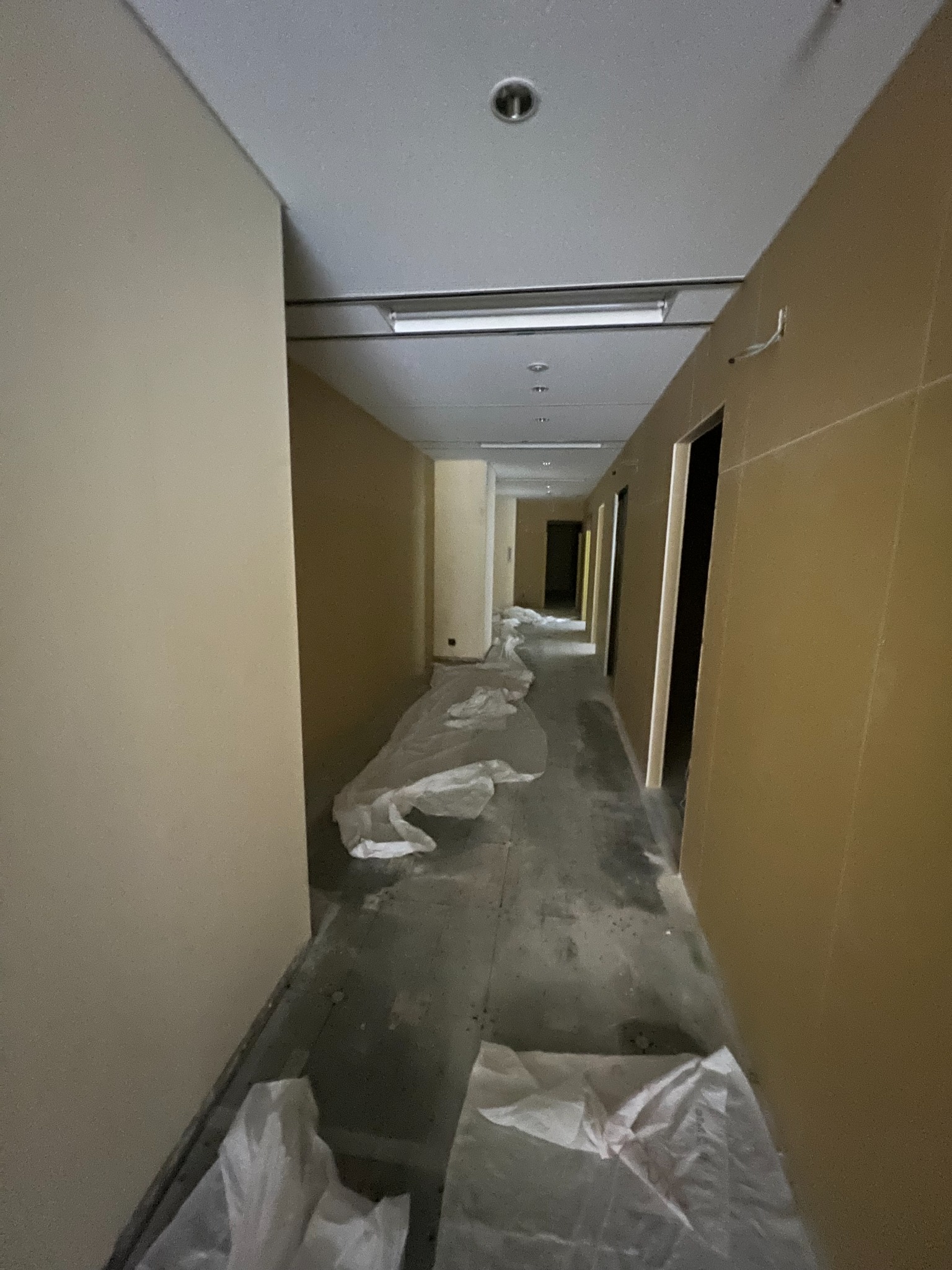 壁が張られ、各部屋の出入口と廊下の区切りが分かる院内